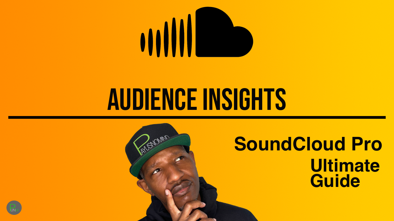 SoundCloud Audience Insights: The Only Platform That Tells You Who Your Listeners Are thumbnail
